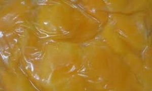 Puré simple de Mango  - GAIA fruits